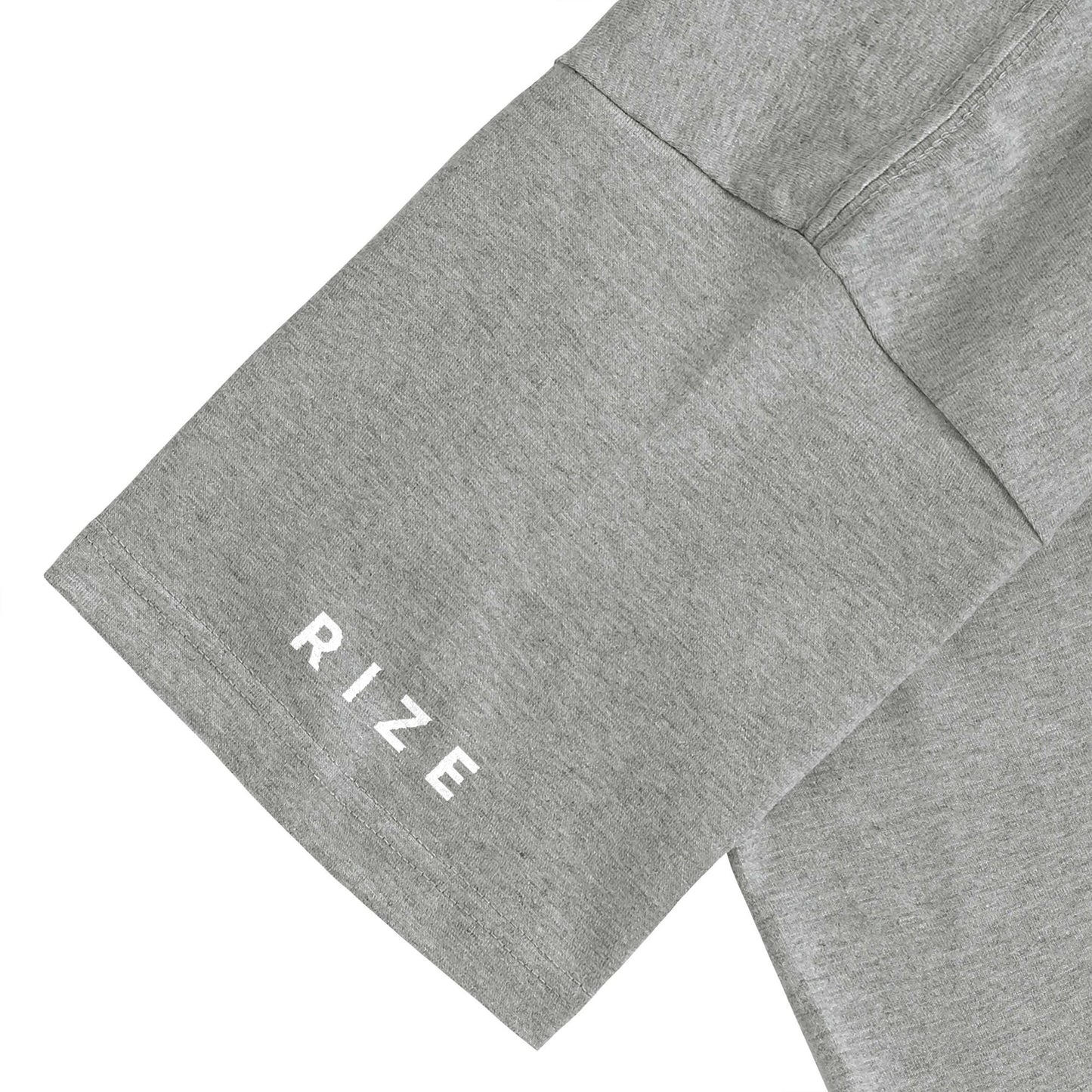 RIZE CHEST LOGO TEE -GRAY-